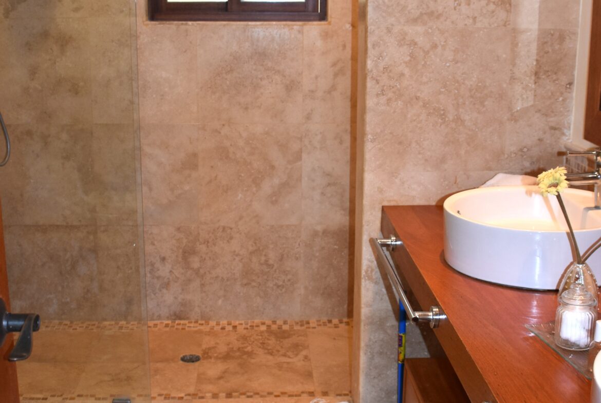 Downstairs master bath.